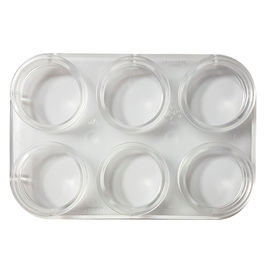 PALETA  A6 TRANSPARENTE