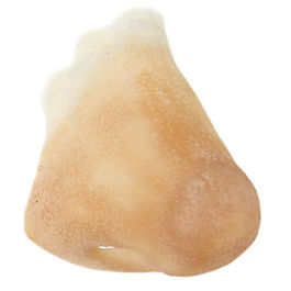 Prótesis de látex 110 nariz normal