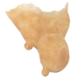 Prótesis de látex 504 Mentón de bruja