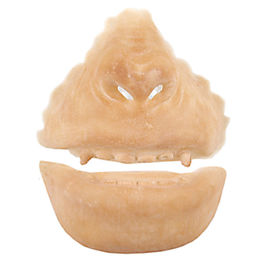 Prótesis de látex 404 Morro de mono grande