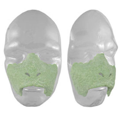 Prótesis de látex 311 Reptil