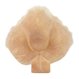 Prótesis de látex 310 Hocico de Conejo