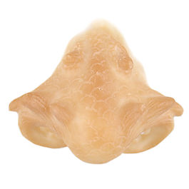 Prótesis de látex 304 Dragón