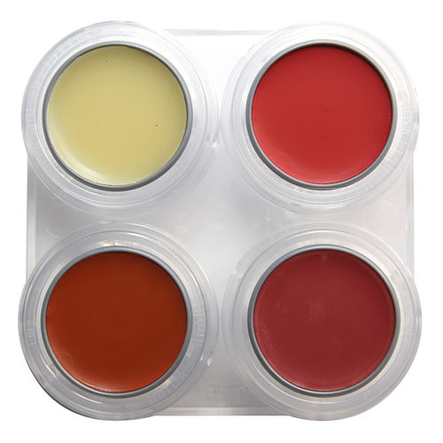 Paleta labiales 4 colores mate