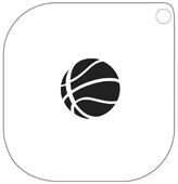 PLANTILLA  41 PELOTA DE BASCKET A5
