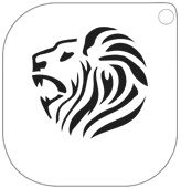 PLANTILLA  61 LEON A5
