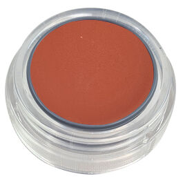 5-19  Rojo ladrillo claro | LIPSTICK PURE