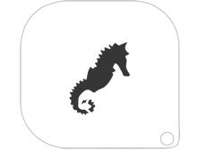 109 CABALLITO DE MAR