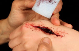 Carne artificial (heridas y efectos planos) 60ml Dermawax