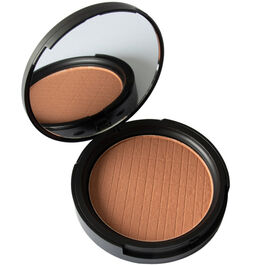 BRONZING POWDER