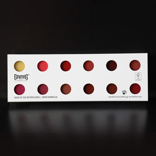 Paleta labiales 12 colores LB