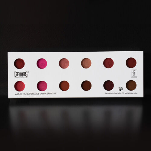 Paleta labiales 12 colores perlados LP