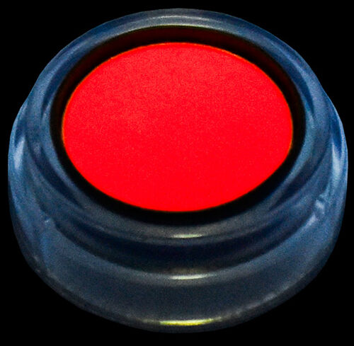 Maquillaje al agua FLUOR  2,5ml 560 Fucsia